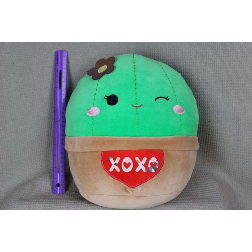 squishmallow shadi the cactus Valentines day plush